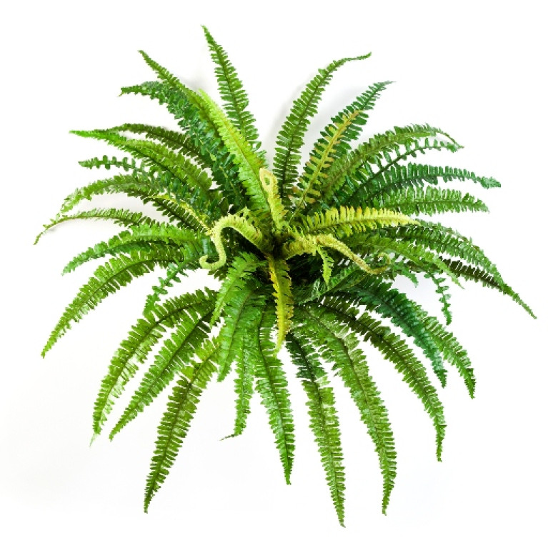 Kunstplant Bos Varen 70 cm