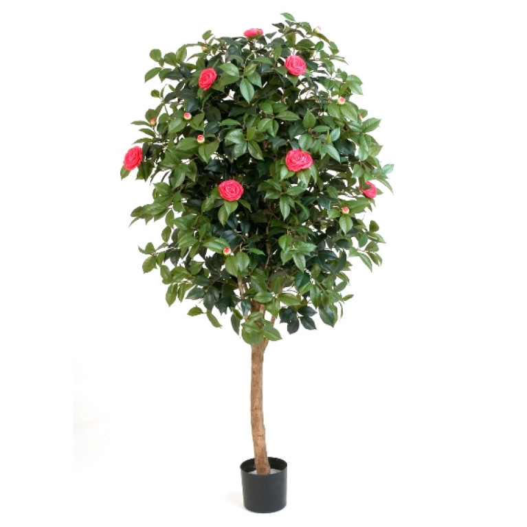Kunstplant Camelia Roze 170 cm