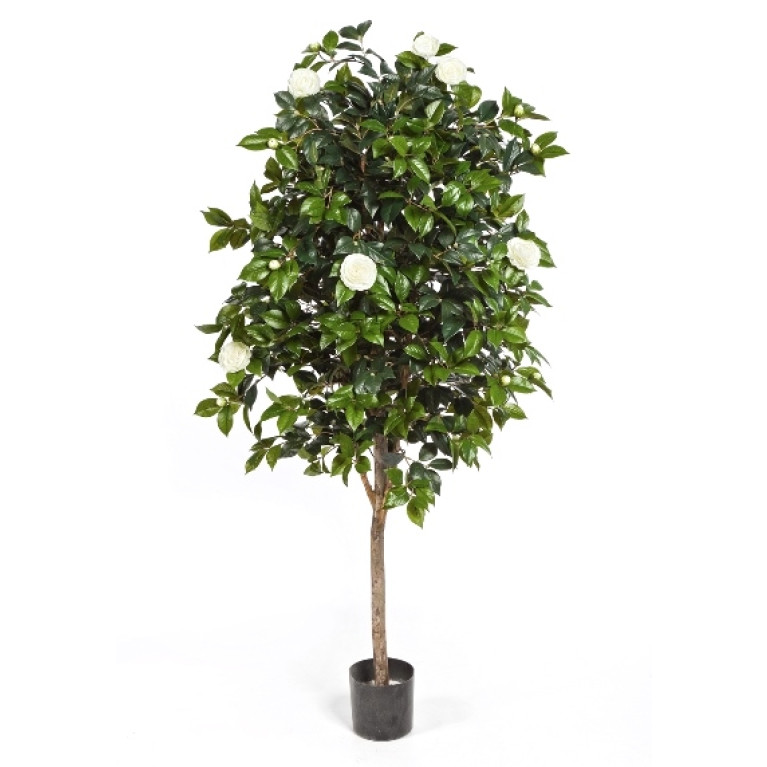 Kunstplant Camelia Wit 170 cm