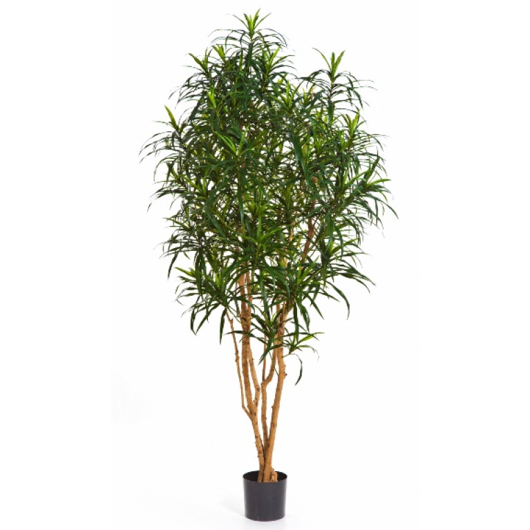 Kunstplant Dracaena Anita 120 cm