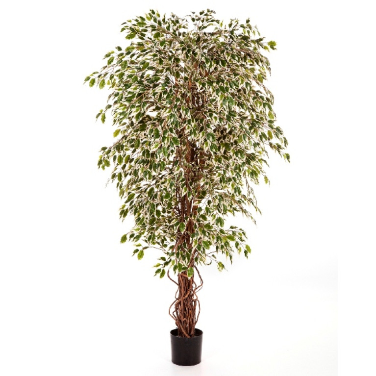Kunstplant Ficus Hawaiian Mixed 120 cm