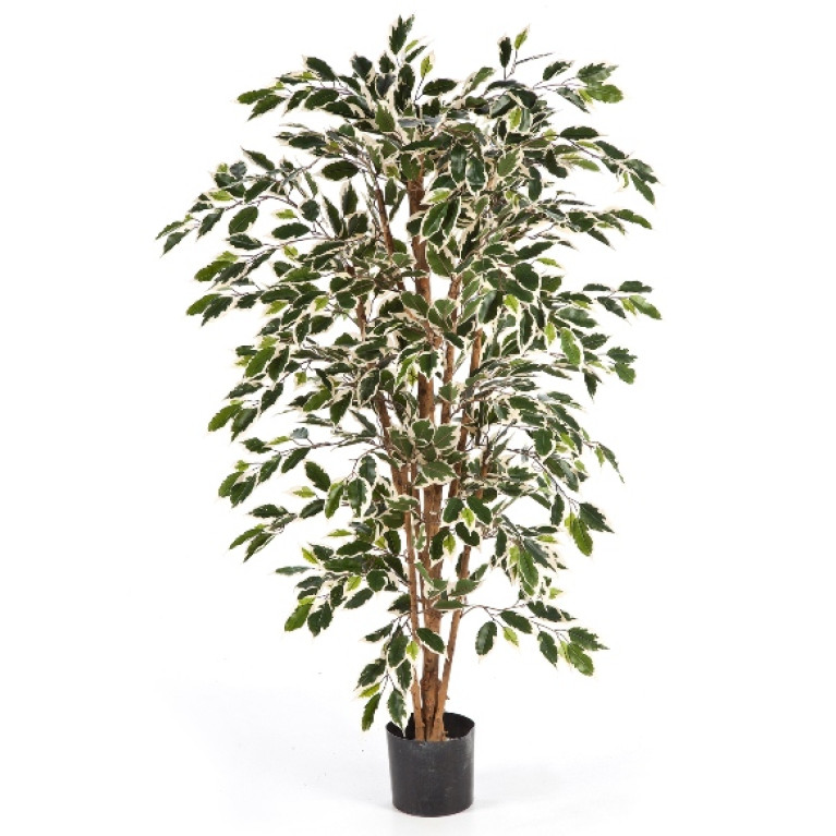 Kunstplant Ficus Nitida Mixed 150 cm