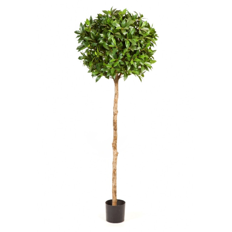 Kunstplant Laurier Bal Deluxe 140 cm