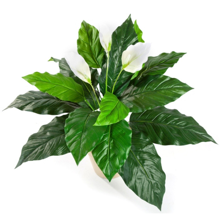 Kunstplant Lepelplant Wit 70 cm