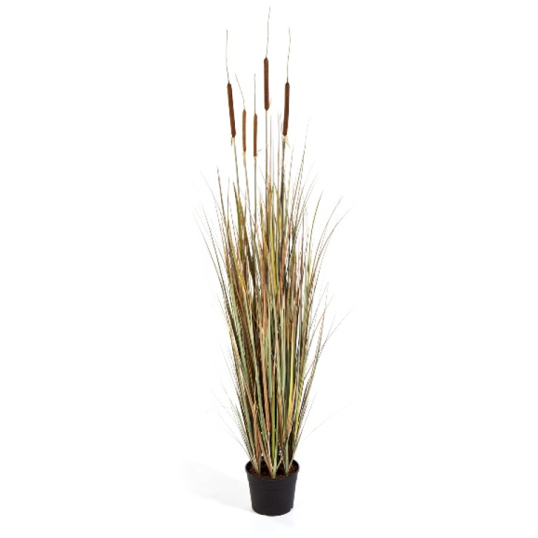Kunstplant Lisdodde Gras Herfst 150 cm