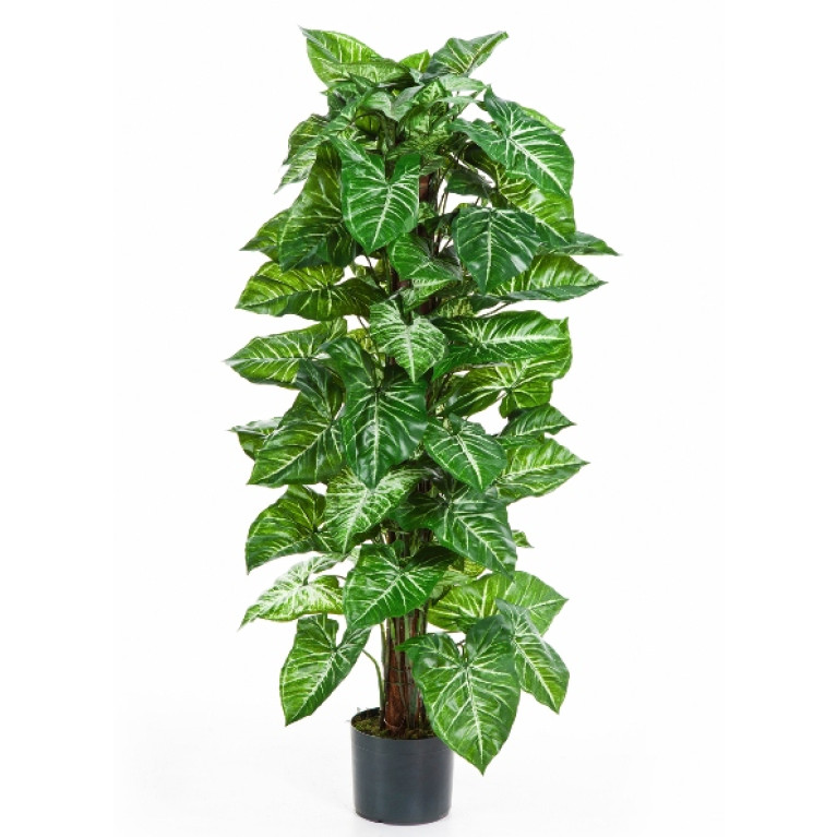 Kunstplant Nepthytis 120 cm