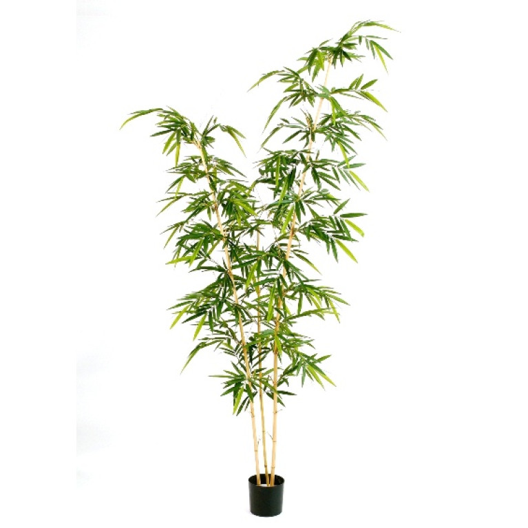 Kunstplant New Bamboo Elegant 260 cm