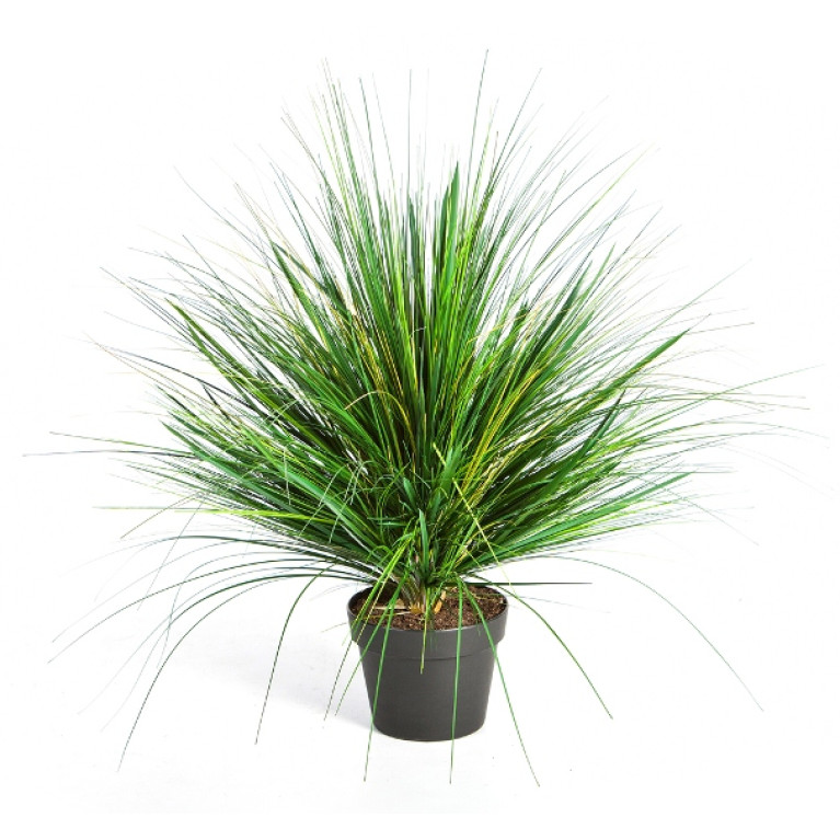 Kunstplant Onion Gras Groen 50 cm