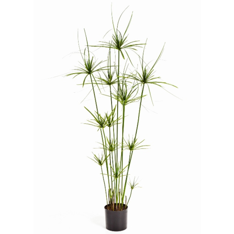 Kunstplant Papyrus Deluxe 140 cm