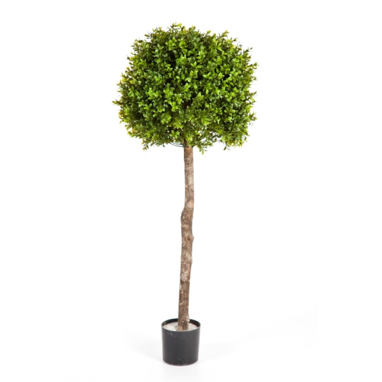 Kunstplant Boxwood Ball Plastic 170 cm