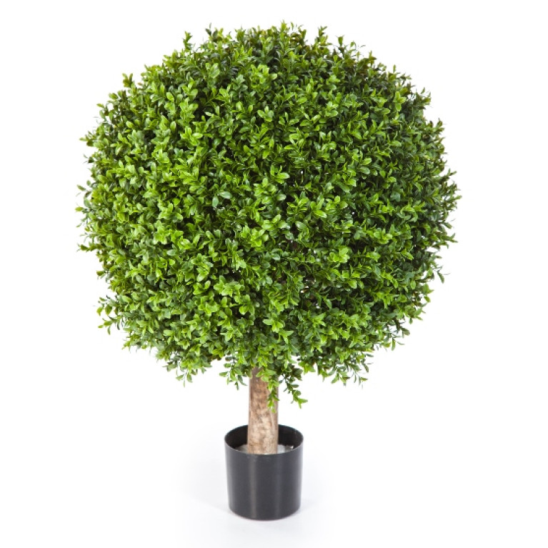 Kunstplant Buxus Plastic 70 cm