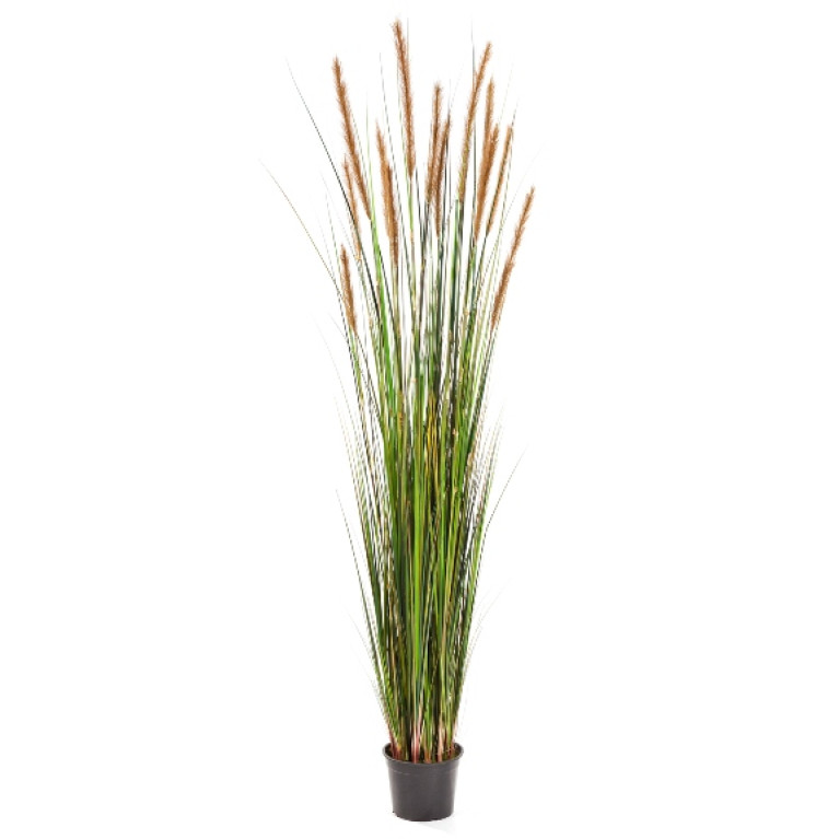 Kunstplant Vossenstaart Gras Bruin 180 cm