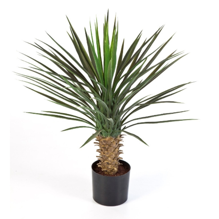 Kunstplant Yucca Plastic 80 cm