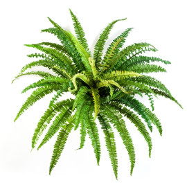 Kunstplant Bos Varen 70 cm