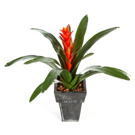 Kunstplant Bromelia Continental 45 cm