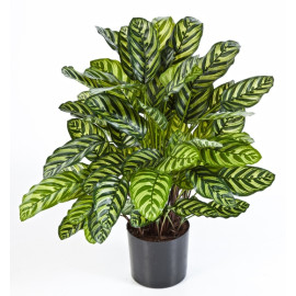 Kunstplant Calathea Groen Deluxe 80 cm