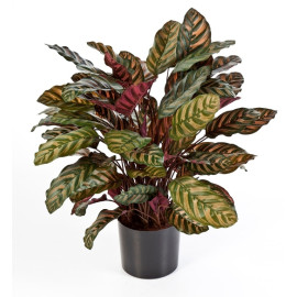 Kunstplant Calathea Rood Deluxe 80 cm