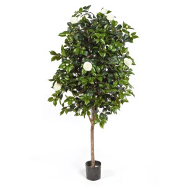 Kunstplant Camelia Wit 170 cm