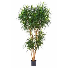 Kunstplant Dracaena Reflexa 180 cm