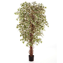 Kunstplant Ficus Hawaiian Mixed 150 cm