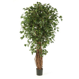 Kunstplant Ficus Liana Exotica 240 cm