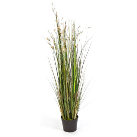 Kunstplant Coral Gras Crème Wit 120 cm