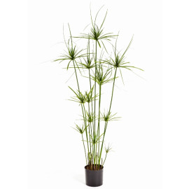 Kunstplant Papyrus Deluxe 140 cm