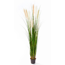 Kunstplant Pijlriet 180 cm