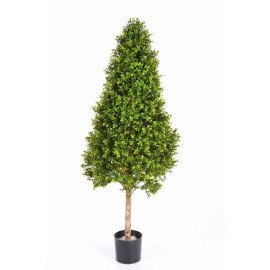 Kunstplant Boxwood Plastic 170 cm