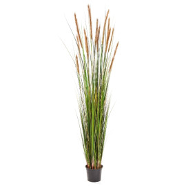 Kunstplant Vossenstaart Gras Bruin 180 cm
