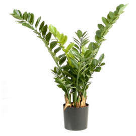 Kunstplant Zamioculcas 90 cm