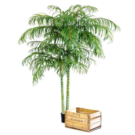 Kunstplant Areca Palmboom Deluxe 210 cm