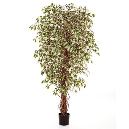Kunstplant Ficus Hawaiian Mixed 120 cm