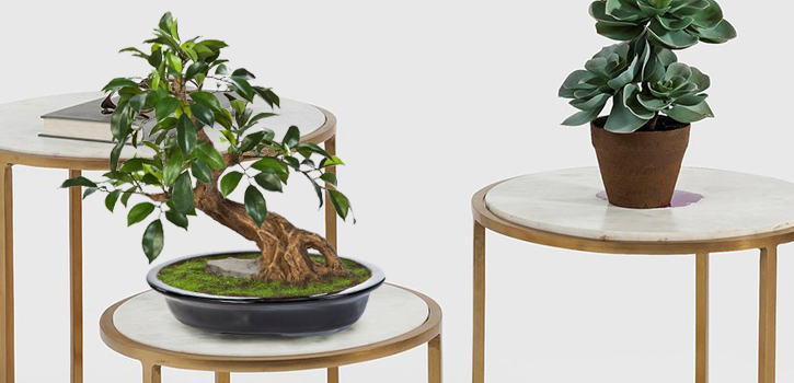 Overige Kunstplanten