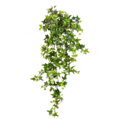 Decoratie & Hedera