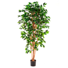 Kunstplant Ficussen